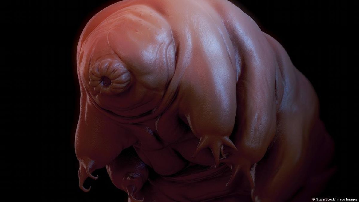 Impacto de asteroides: Apenas um corpo celeste massivo o suficiente para ferver os oceanos (como Plutão) poderia exterminá-los. Nenhum objeto conhecido no Sistema Solar tem tal trajetória/ SuperStock/Imago Images