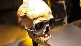 Restos de neandertais encontrados em escavações arqueológicas reforçam teorias sobre a presença humana na Inglaterra há mais de 400 mil anos