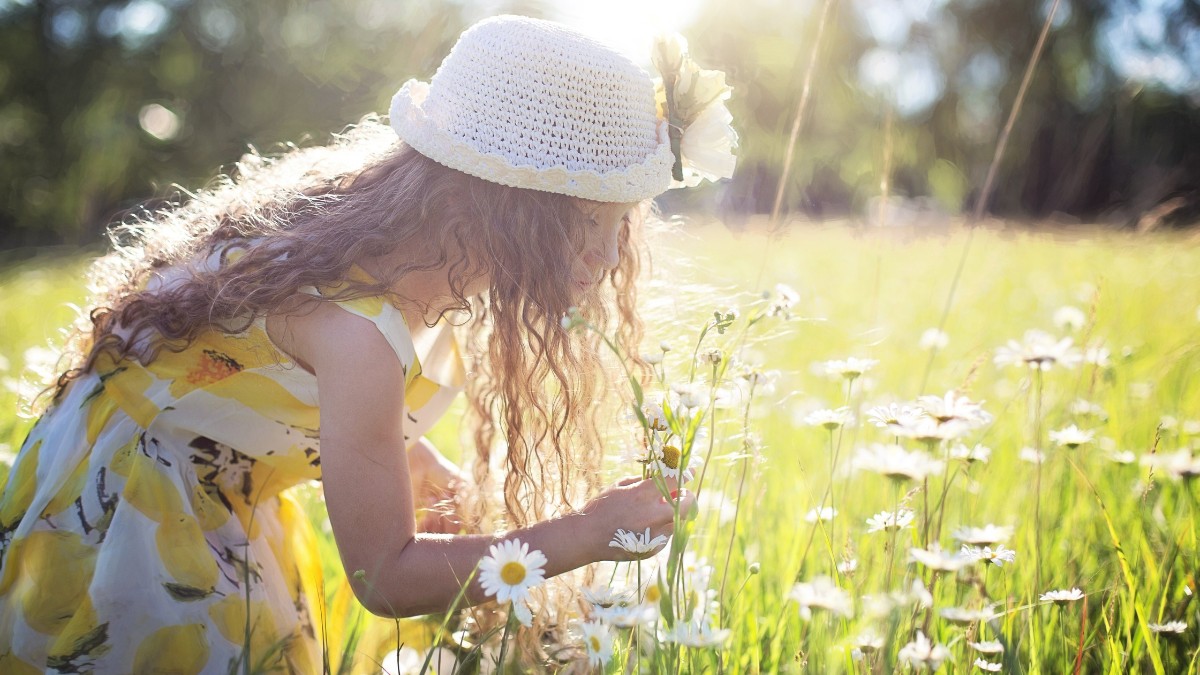 A felicidade no cotidiano torna a vida mais leve e significativa / Pixabay