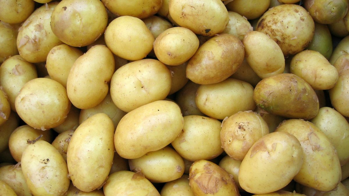Truque caseiro reaproveita cascas de batata como alternativa simples e acessível para eliminar a ferrugem de panelas e utensílios. Unsplash/Hai Nguyen