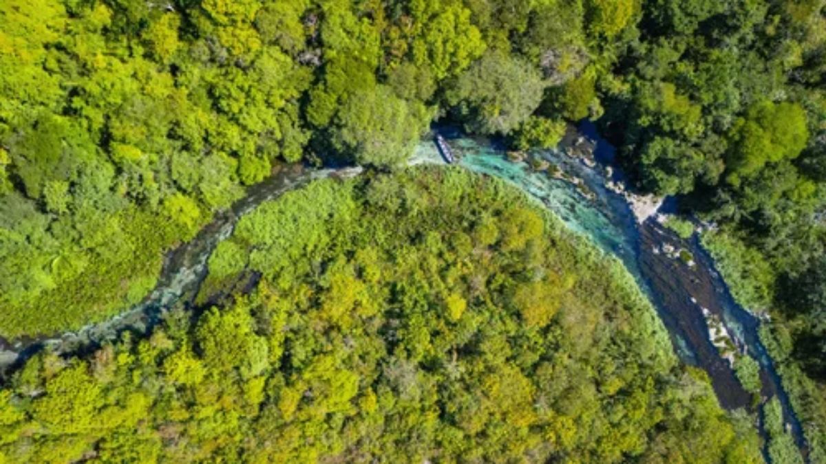 Entre as diversas belezas naturais com que Bonito conta, está o Rio Sucuri que, com seus 19 quilômetros, é considerado um dos três rios com águas mais cristalinas do mundo (Turismo Bonito/Divulgação)