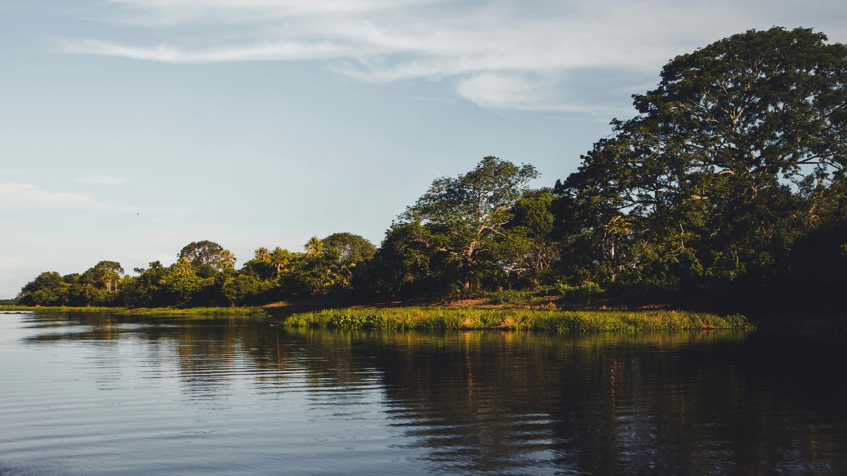 Reconhecido como Patrimônio Natural da Humanidade pela UNESCO, o bioma depende de turismo responsável e políticas de conservação para manter sua riqueza natural. Unsplash/Nathalia Segato