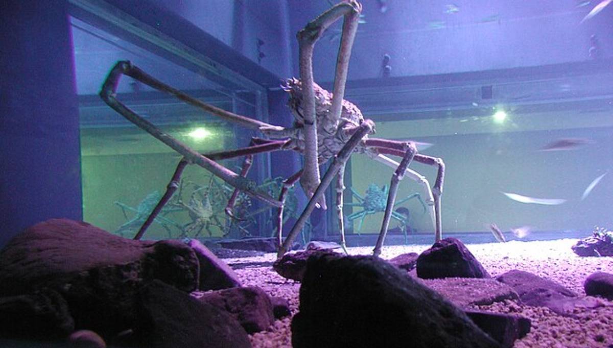 Imagem meramente ilustrativa