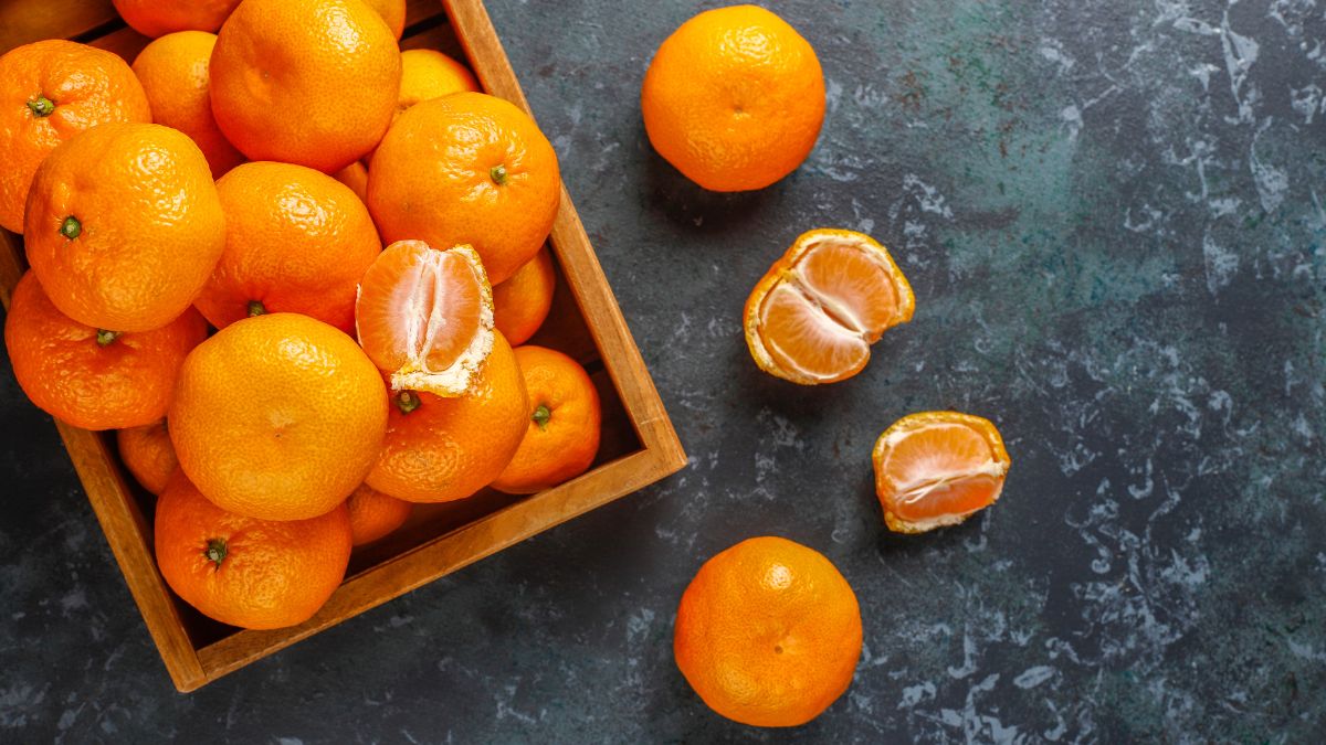 Querida em todas as regiões, a tangerina tem uma trajetória curiosa e