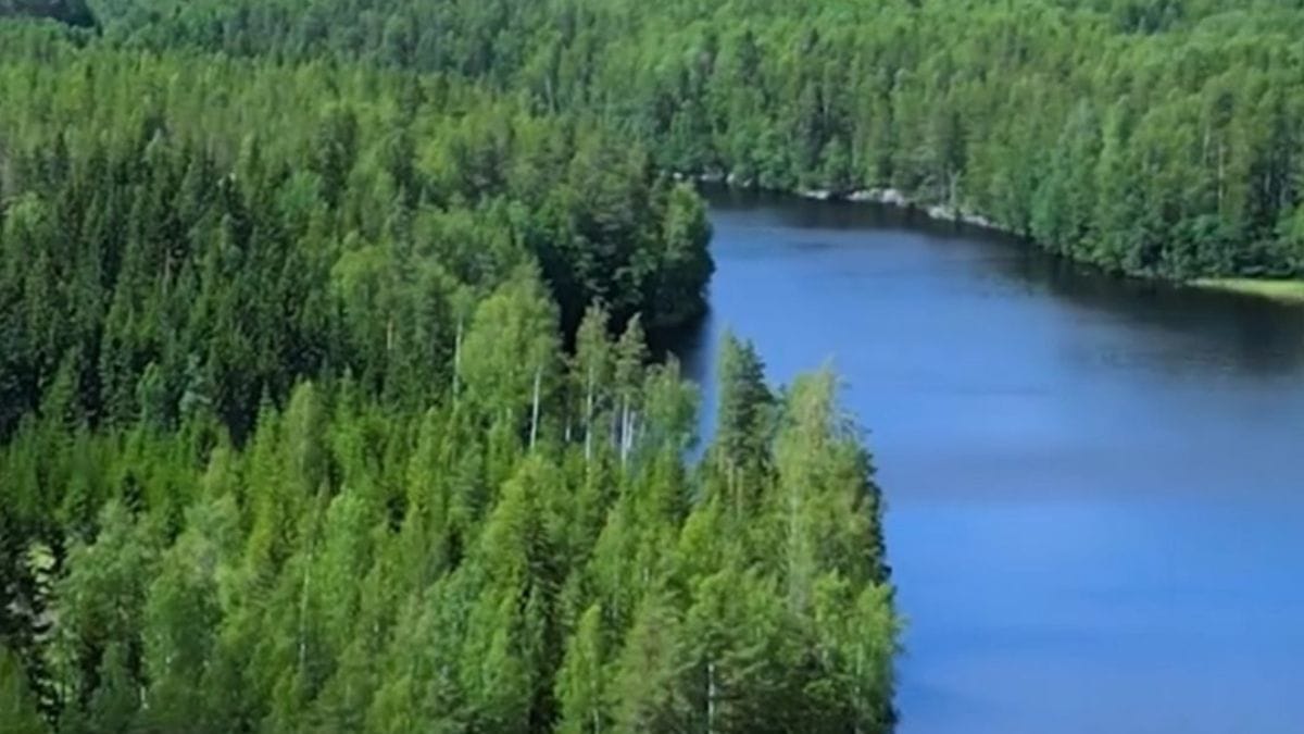 Ilha privada por preço de entrada de imóvel virou projeto de vida. Sem experiência, casal constrói a própria cabana no meio da natureza /Youtube