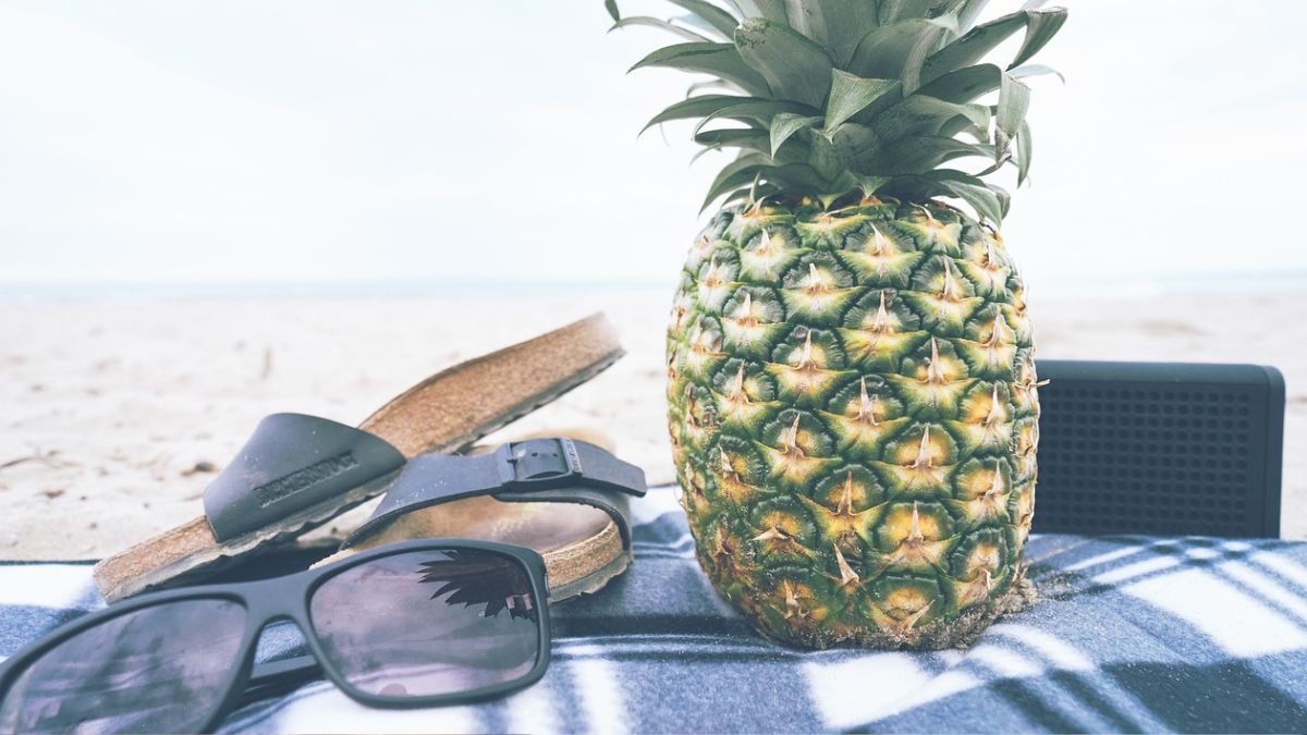 Frutas frescas e água gelada são aliadas essenciais para manter a hidratação sob o sol/Pixabay