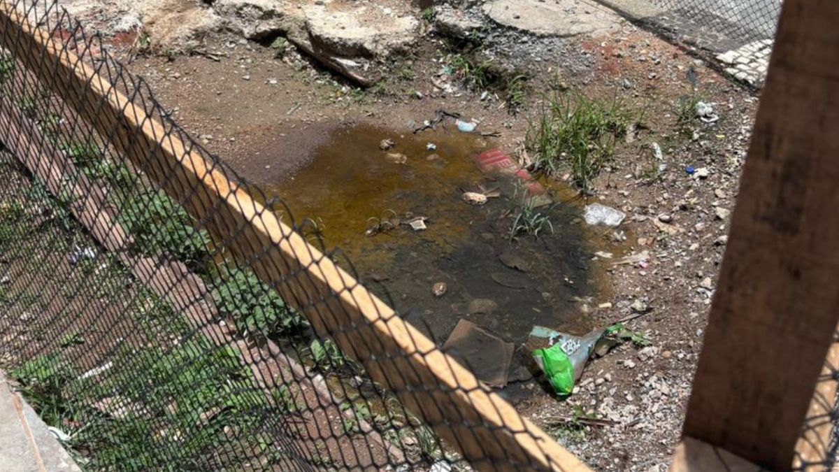 Enquanto arqueólogos defendem tempo para análise minuciosa, comerciantes e pedestres aguardam o fim dos transtornos. A Prefeitura afirma que o cronograma segue mantido para o primeiro semestre de 2025, equilibrando preservação histórica e uso cotidiano do Centro. Jonatas Oliveira/DL