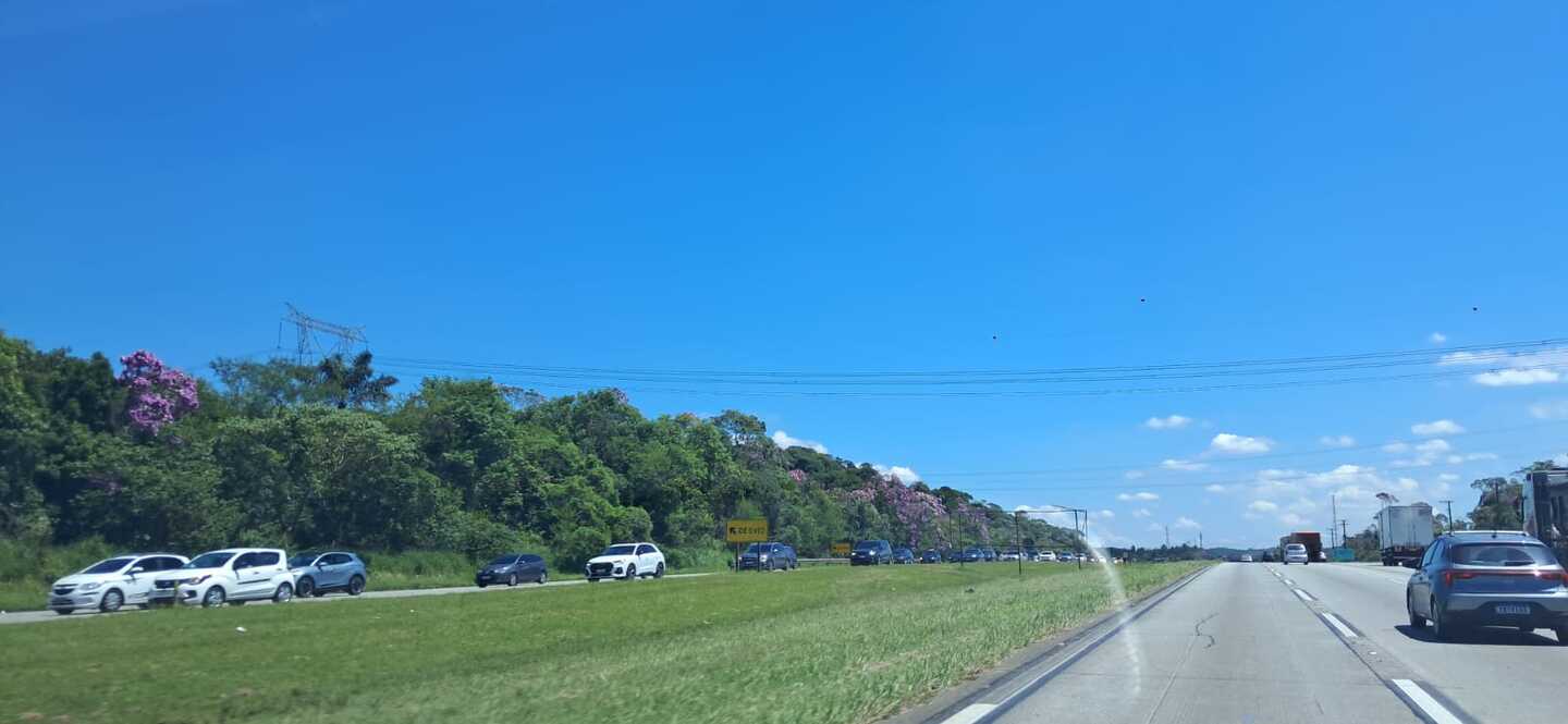 Trânsito intenso: pequenas filas e congestionamentos marcam a sexta-feira a caminho dos bloquinhos. Acompanhe as condições minuto a minuto/Leitor DL