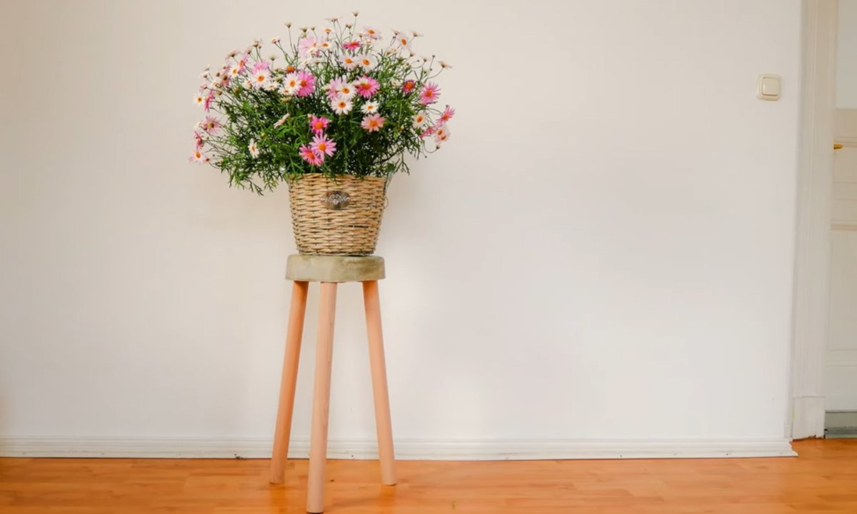 Charme do banquinho está no contraste entre o visual bruto do concreto e a delicadeza das plantasbanco concreto pinterest decoração jardim