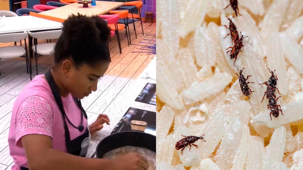 Um episódio envolvendo arroz com carunchos chamou a atenção do público durante o BBB 26 e rapidamente repercutiu nas redes sociais