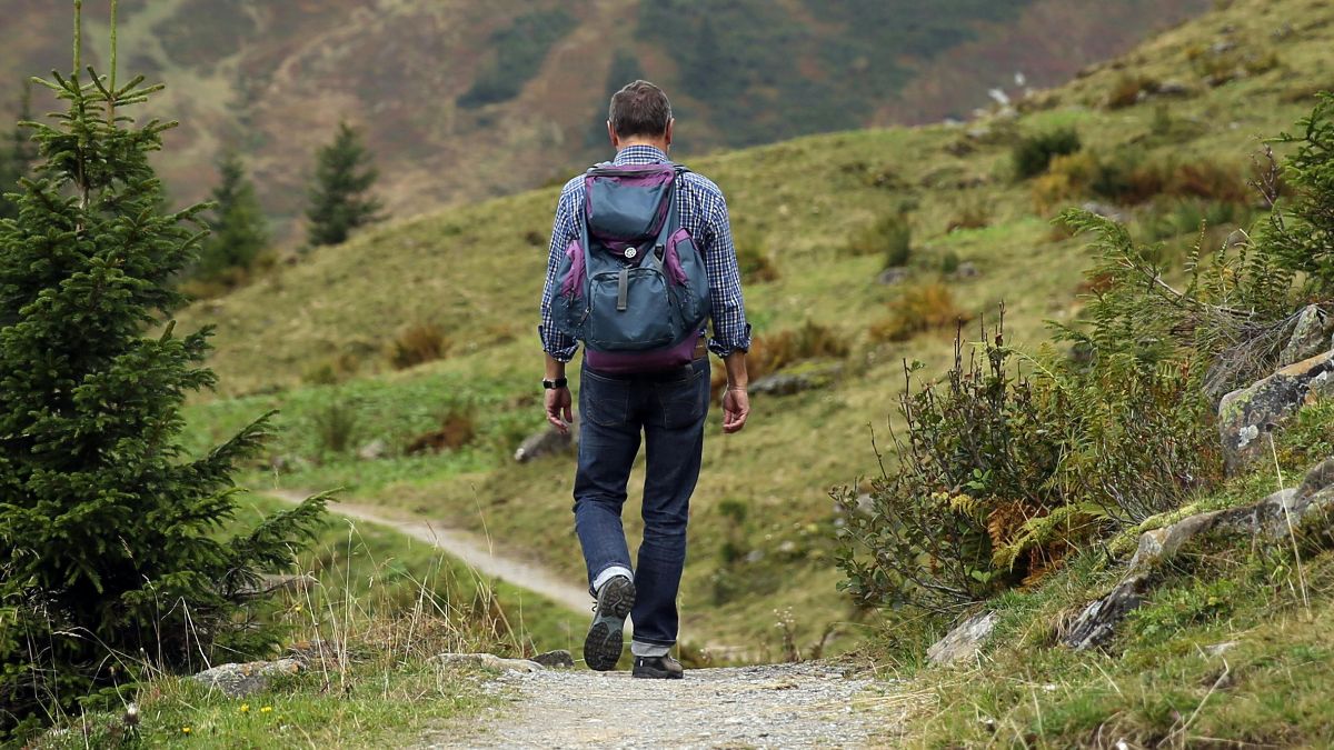 Especialistas sugerem que o melhor momento para caminhar é logo após as refeições diárias/Pexels
