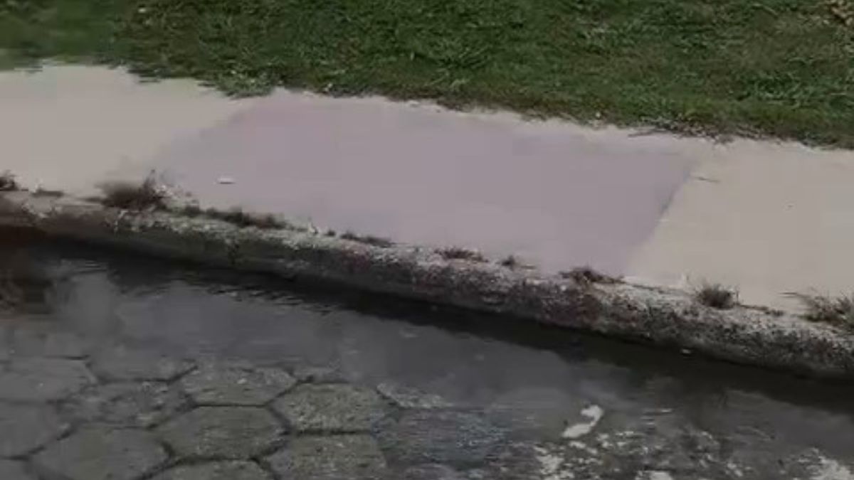 Problema é recorrente em Peruíbe / Roberto Cesar/Arquivo Pessoal
