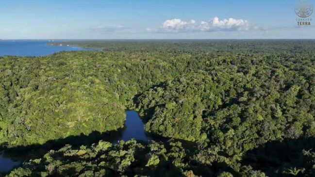 Os vestígios de ruas, construções e traçado planejado indicam que Lamego possuía funções que iam além da habitação