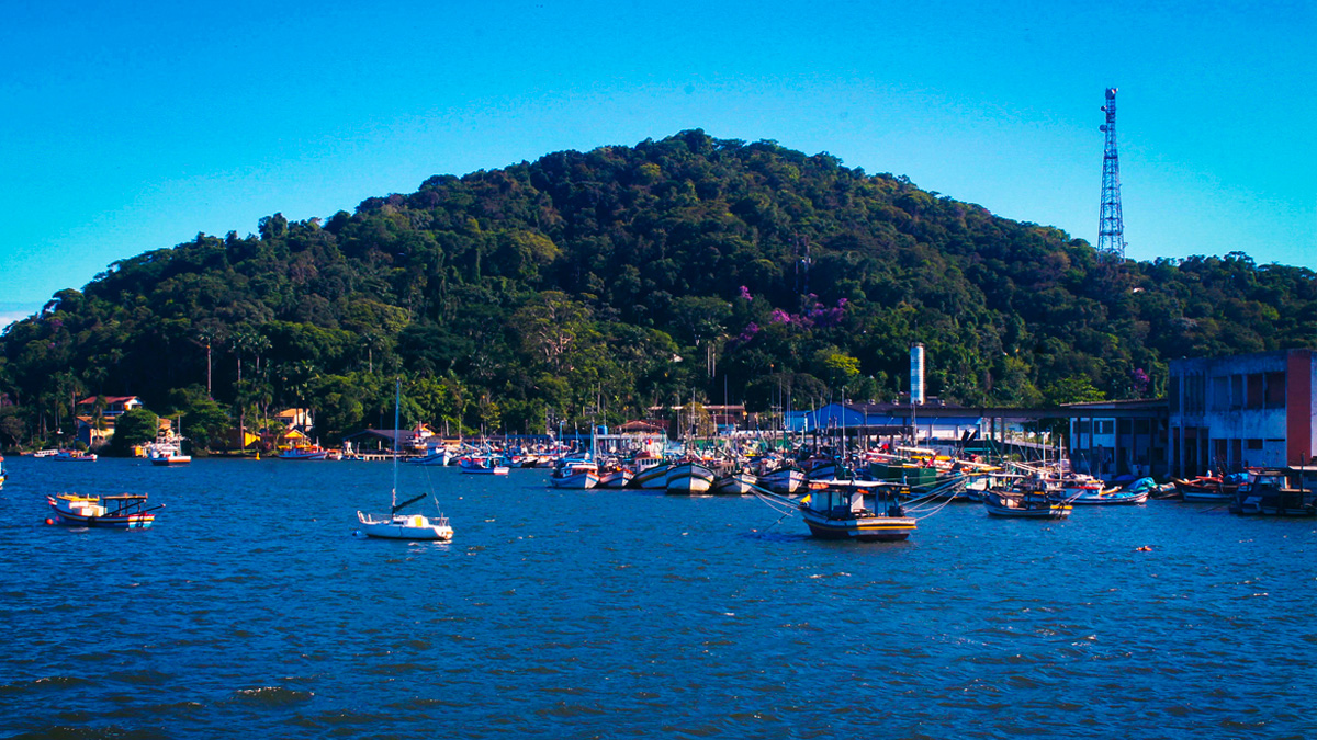 Divulgação/ PMC