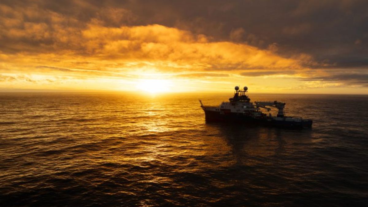 Mesmo em áreas inexploradas e cheias de novas espécies, o rastro humano apareceu. Redes de pesca e até uma fita VHS foram achadas no fundo do mar, provando a vulnerabilidade dos oceanos diante do lixo plástico/Instituto Oceanográfico Schmidt