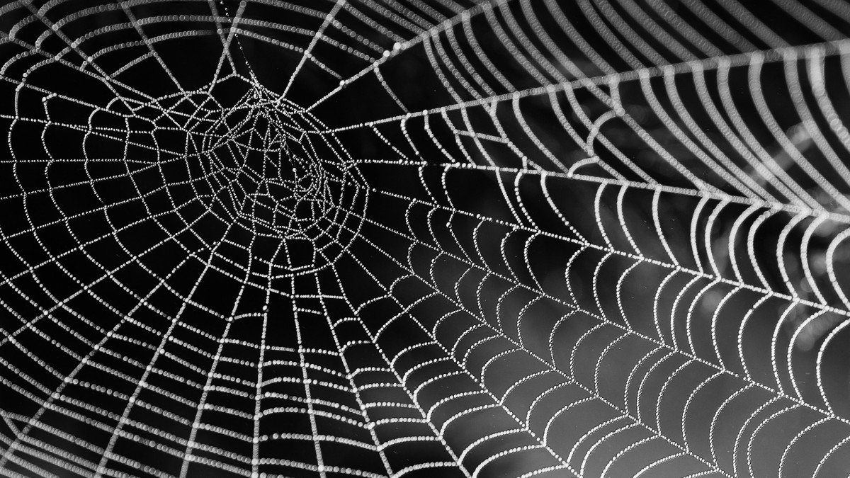 A estrutura é tão vasta que cobre o equivalente a meia quadra de tênis, estendendo-se por corredores estreitos onde o ar carregado de enxofre tornaria a vida impossível para a maioria dos seres vivos/ Pixabay