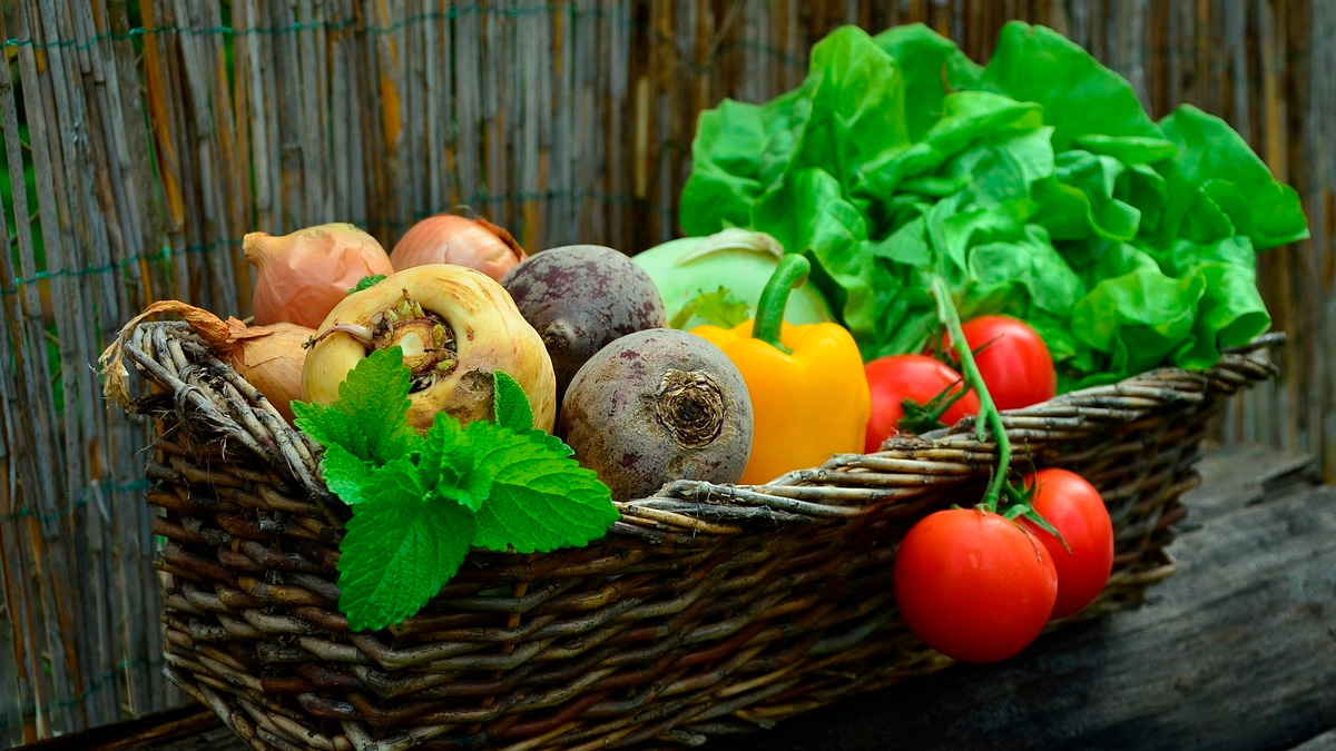 Embora não substitua tratamentos médicos, o ingrediente pode ser um aliado dentro de hábitos saudáveis.