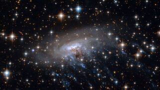 Registrada pelo Telescópio Espacial James Webb, a galáxia COSMOS2020-635829 ganhou o apelido de "água-viva cósmica" por seus longos tentáculos de gás, onde astrônomos identificaram o nascimento de estrelas no rastro deixado pelo chamado arrancamento por i