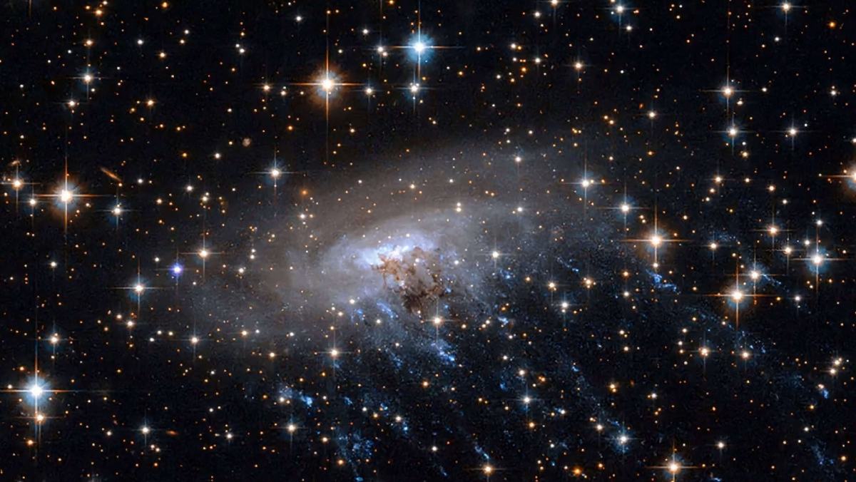 Registrada pelo Telescópio Espacial James Webb, a galáxia COSMOS2020-635829 ganhou o apelido de "água-viva cósmica" por seus longos tentáculos de gás, onde astrônomos identificaram o nascimento de estrelas no rastro deixado pelo chamado arrancamento por i