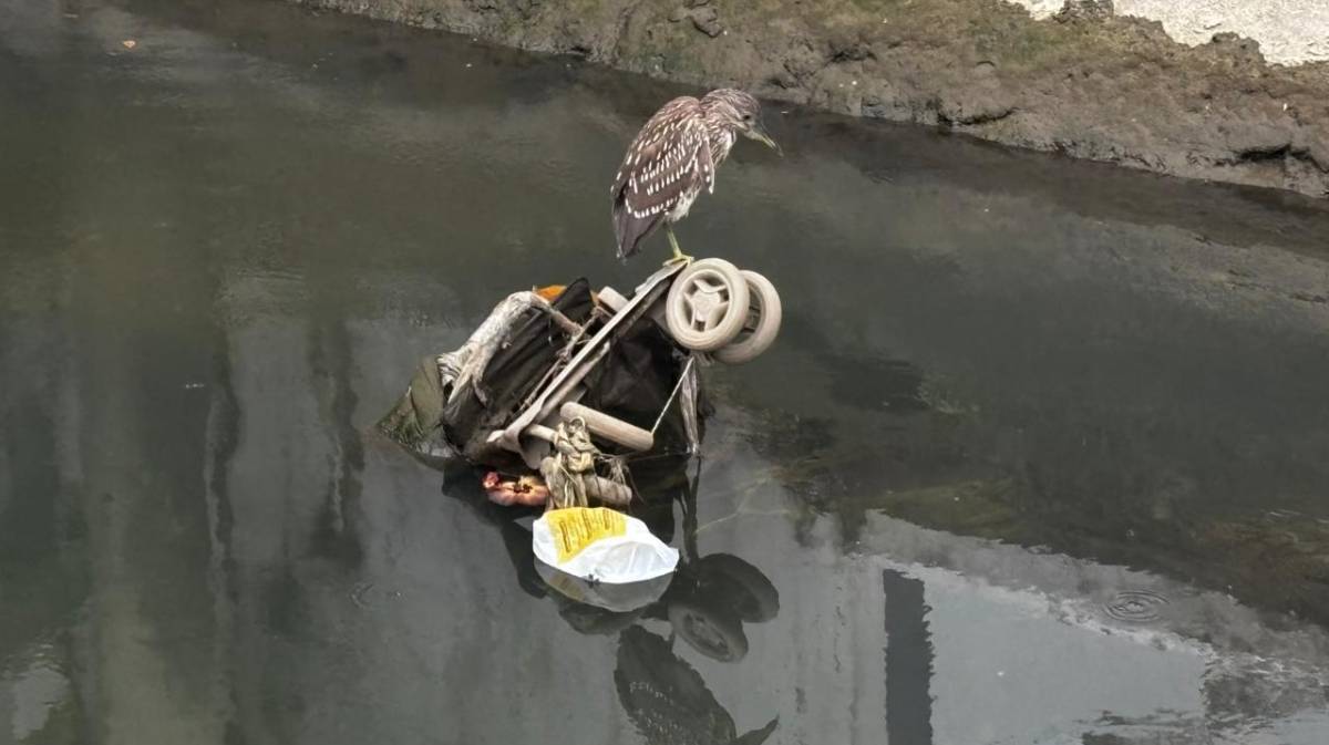 Entre os itens já encontrados estão sofá, placa de trânsito, fogão e até carrinho de supermercado