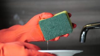 A esponja tradicional está começando a ser substituída aos poucos