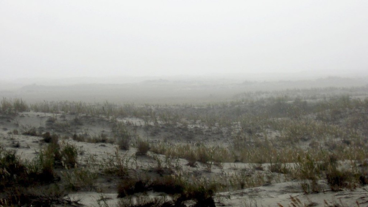 A iniciativa integra o programa chinês de cinturões verdes contra a desertificação / Colegota/Wikimedia Commons