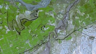 Saiba como a Grande Muralha Verde da China está mudando o combate global contra o aquecimento do planeta