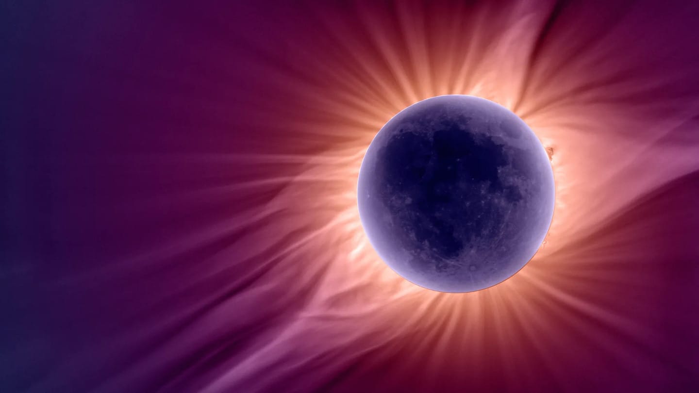 Instinto animal: o apagão solar de 2026 confunde a natureza / NASA