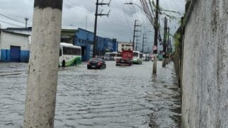 Especialistas em manutenção automotiva alertam que agir de forma improvisada pode agravar o problema e aumentar o custo do reparo