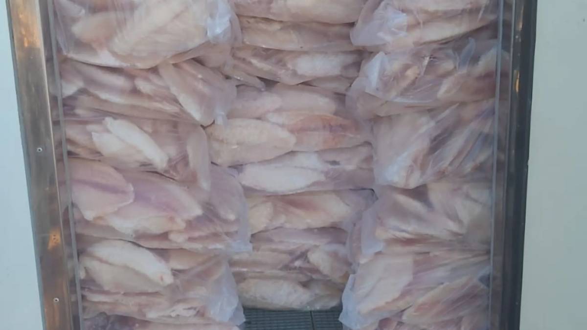 No veículo de grande porte, estavam espécies como tilápia, camarão, pintado e lambari