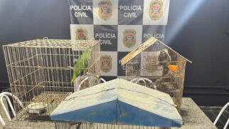 O caso chamou atenção pela cena encontrada pelos agentes e pela convivência doméstica dos animais