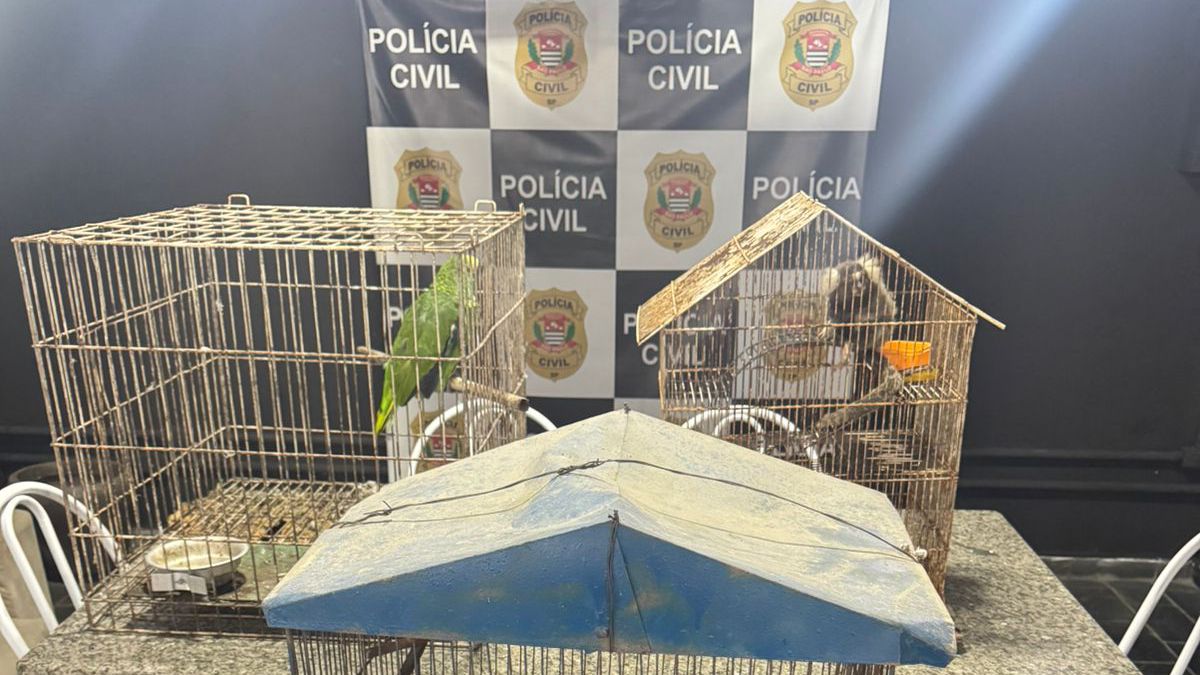 O caso chamou atenção pela cena encontrada pelos agentes e pela convivência doméstica dos animais