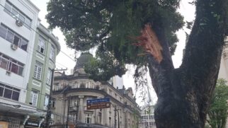 Queda de galho na Praça Mauá paralisa a circulação do bonde em Santos