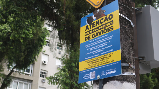 O material explica como agir ao avistar um gavião