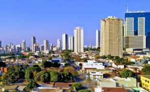 Atualmente, Goiânia abriga mais de 1 milhão de árvores distribuídas em 32 parques e bosques públicos
