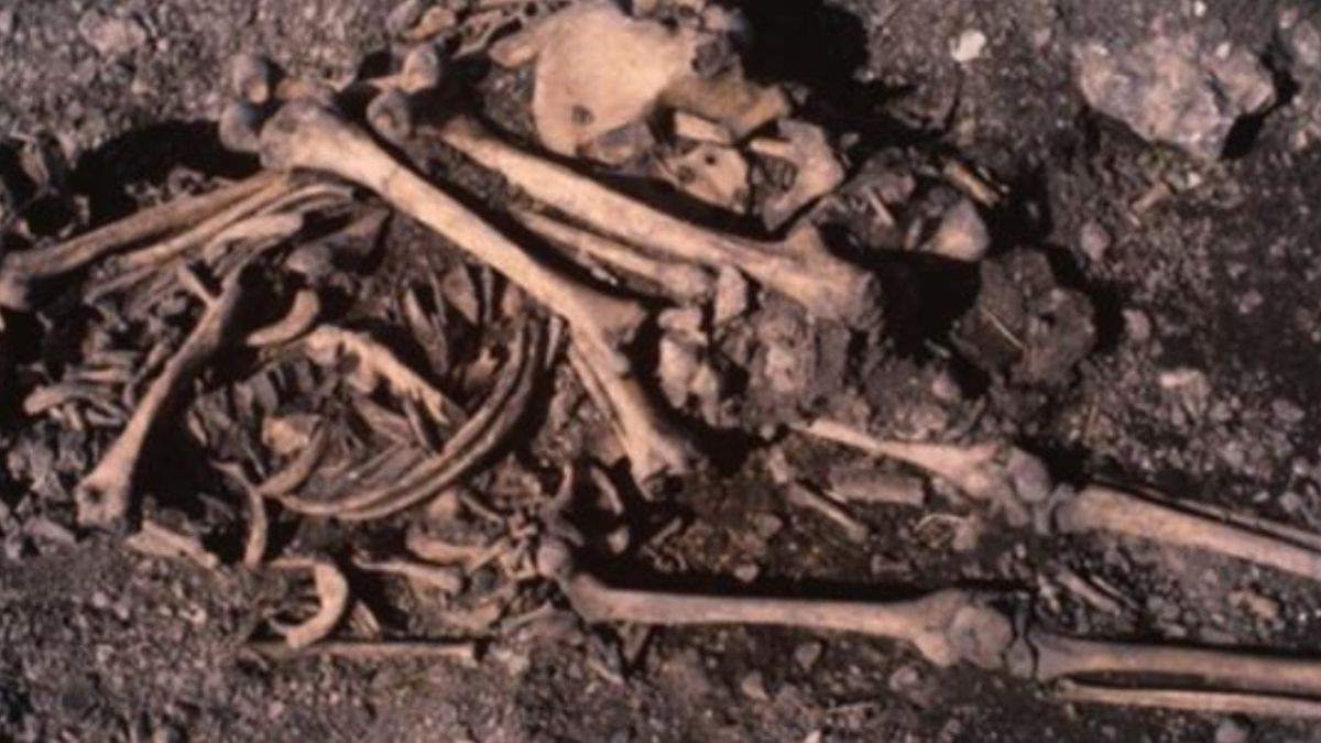 Análise genética mostra que adolescente foi sepultada com ossos do pai, enquanto outras covas revelam primos e tias enterrados juntos
