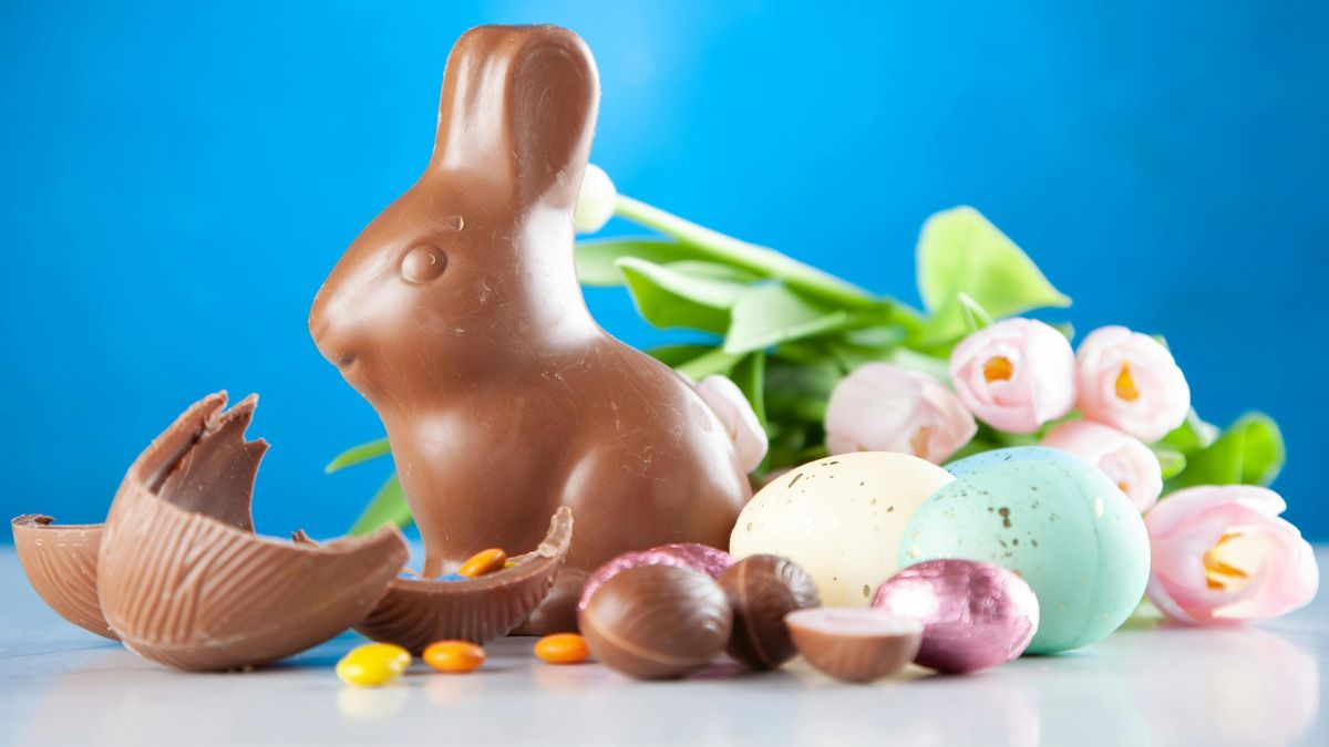 Especialistas recomendam pesquisa rigorosa para encontrar ovos que caibam no bolso