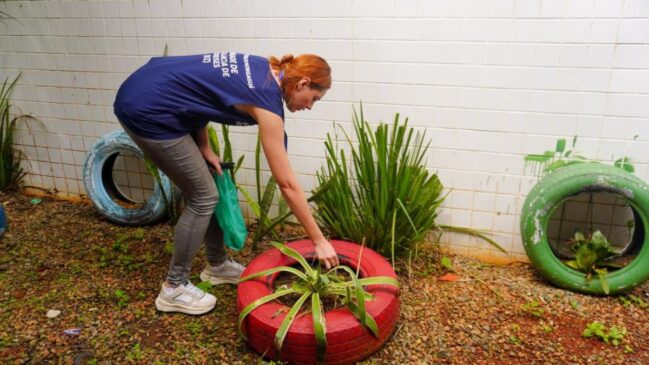 Creches e EMEFs recebem vistorias técnicas para prevenir dengue, chikungunya e zika
