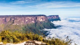 O isolamento dos paredões verticais do Roraima criou o que os cientistas chamam de