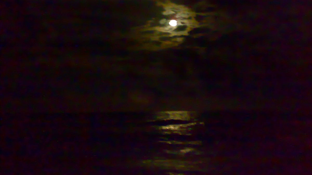 A lua transforma o céu e o mar de Itapoá em um espetáculo único / Edimar da Rocha/Wikimedia Commons