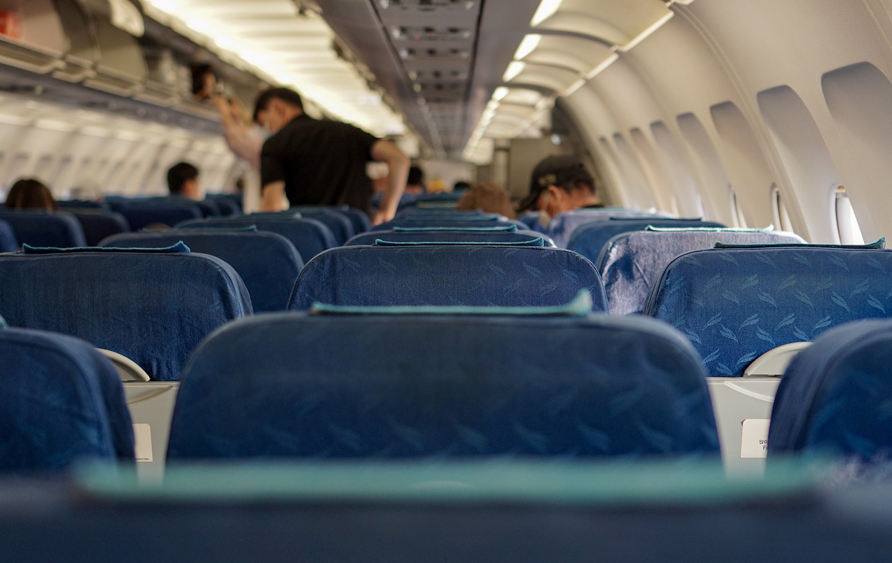 A proposta homenageia o cachorro Joca, que morreu em 2024 após falhas no transporte aéreo e gerou comoção nacional/Pixabay