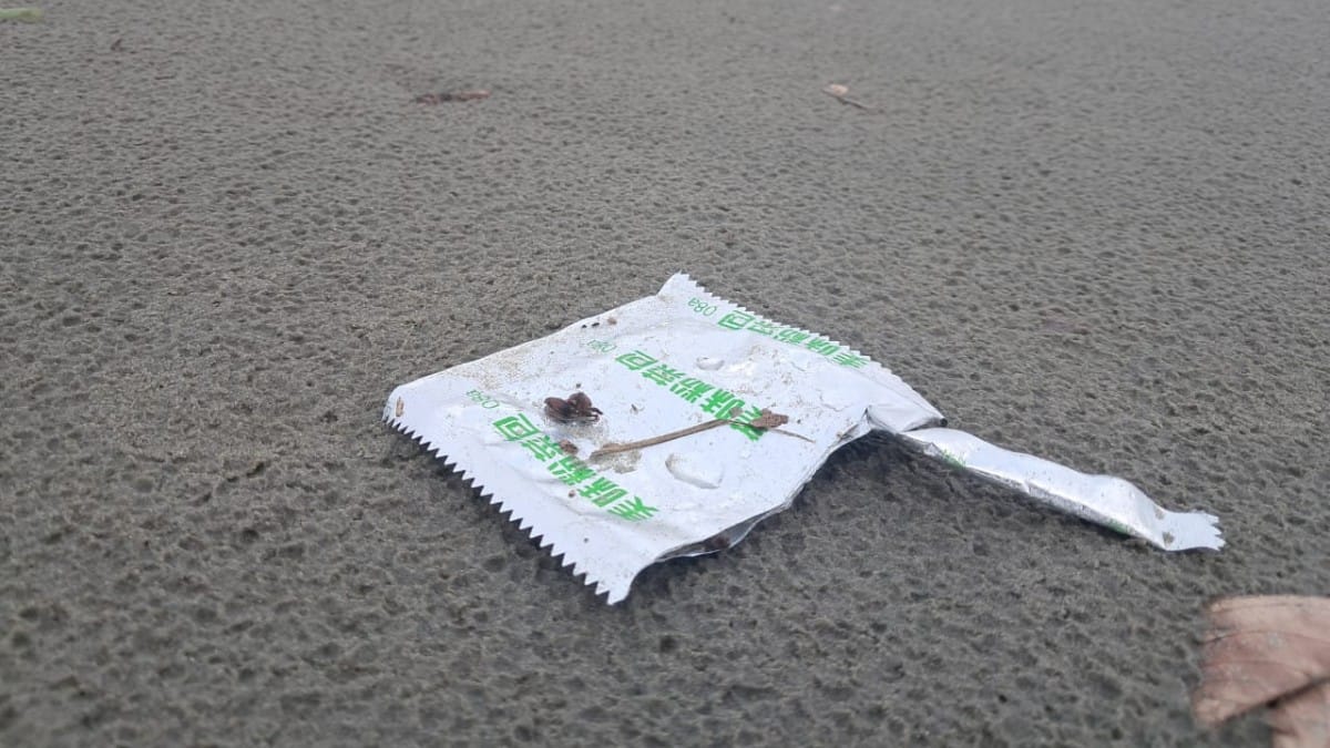 Após o temporal, embalagens estrangeiras foram encontradas na faixa de areia de Peruíbe, misturadas a resíduos nacionais e material orgânico / Márcio Ribeiro/DL