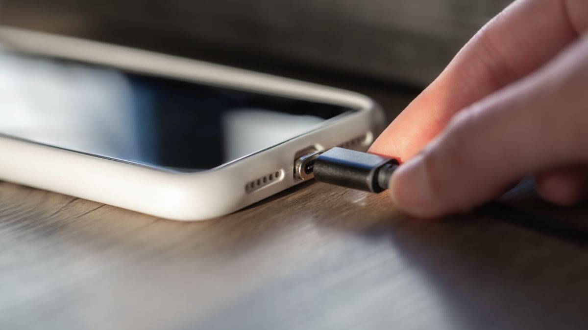 Uma bateria guardada sem energia pode desenvolver danos permanentes em sua estrutura interna