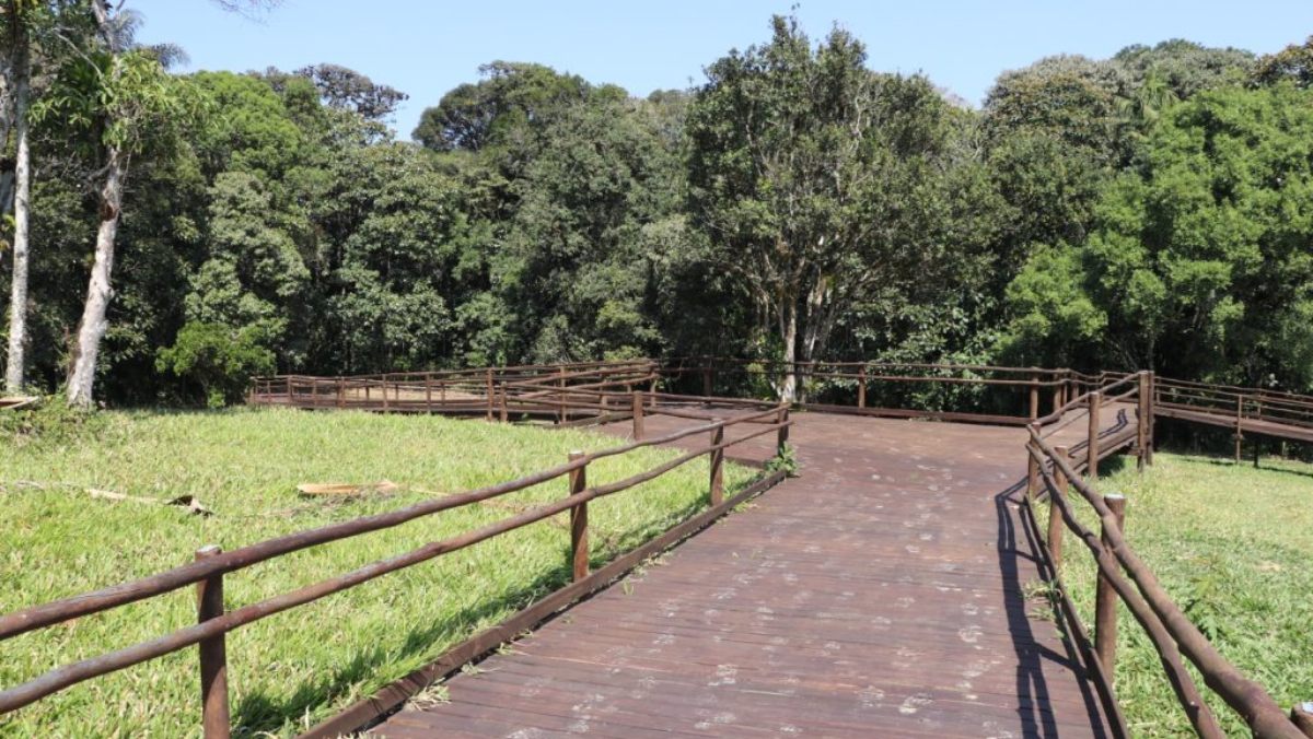 Trilha da Canela, localizada na região de Sorocaba, se tornou uma referência internacional