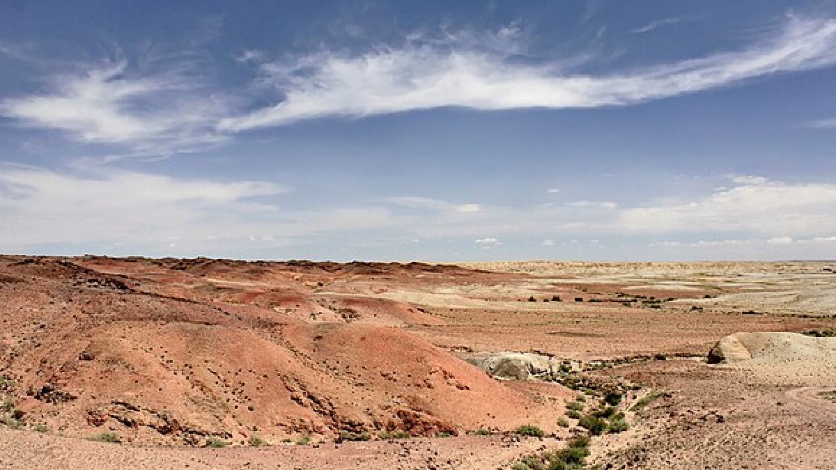 O reflorestamento mal planejado fez com que a floresta "bebesse" a água das comunidades locais, suprindo suas necessidades hídricas com os mesmos recursos utilizados pela população