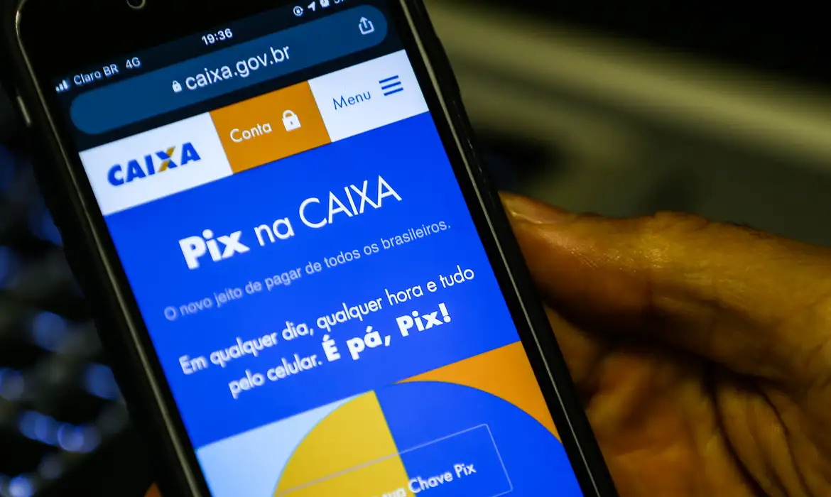 É possível pagar pela Internet Banking na opção "impostos e taxas" / Arquivo - Agência Brasil