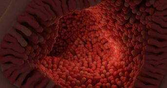 Segundo o Dr. André Augusto PiO cirurgião do aparelho digestivo da Gastro ABC, essa conexão ocorre por meio do chamado eixo cérebro-intestino