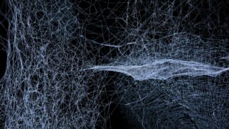 Com dimensões que o site IFLScience comparou a algo capaz de 'aprisionar uma baleia', a megateia funciona como um laboratório natural de evolução