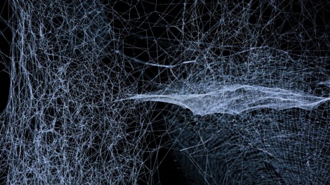 Com dimensões que o site IFLScience comparou a algo capaz de 'aprisionar uma baleia', a megateia funciona como um laboratório natural de evolução