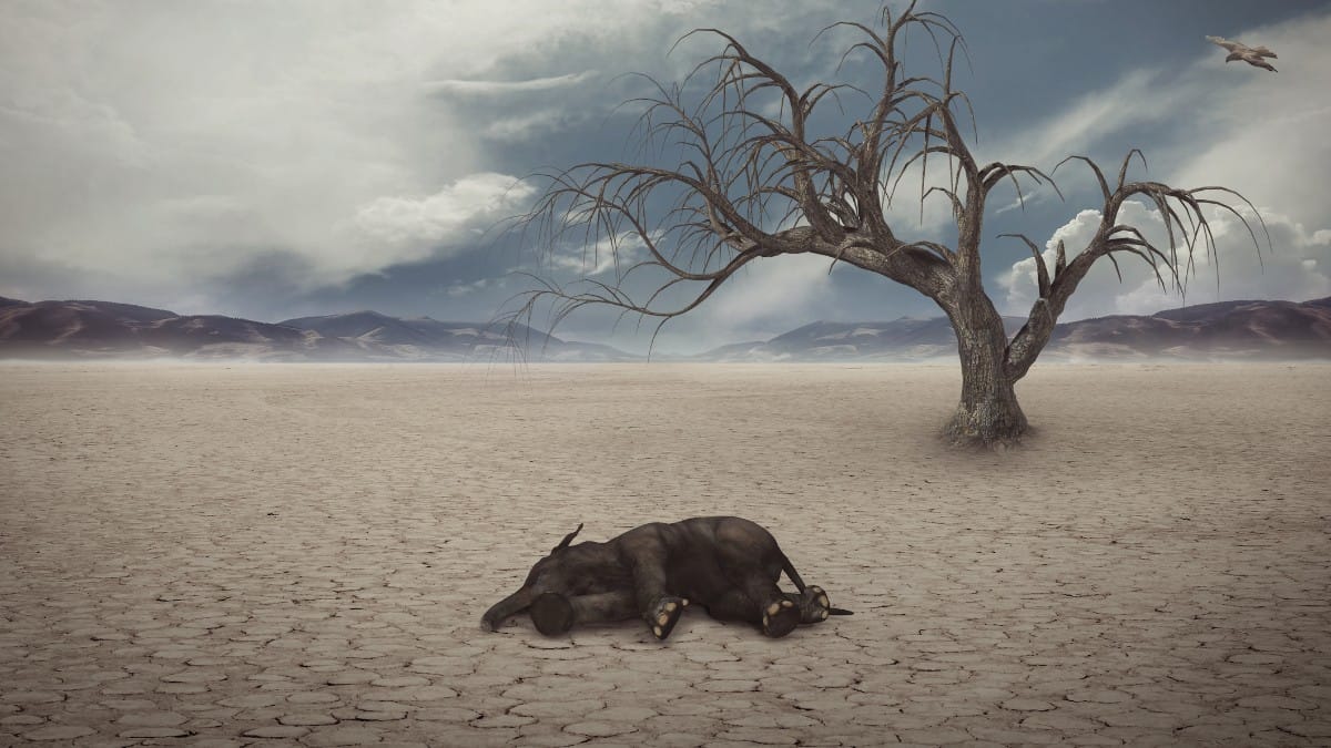 O aquecimento global intensifica ondas de calor e torna eventos extremos mais frequentes / Pixabay